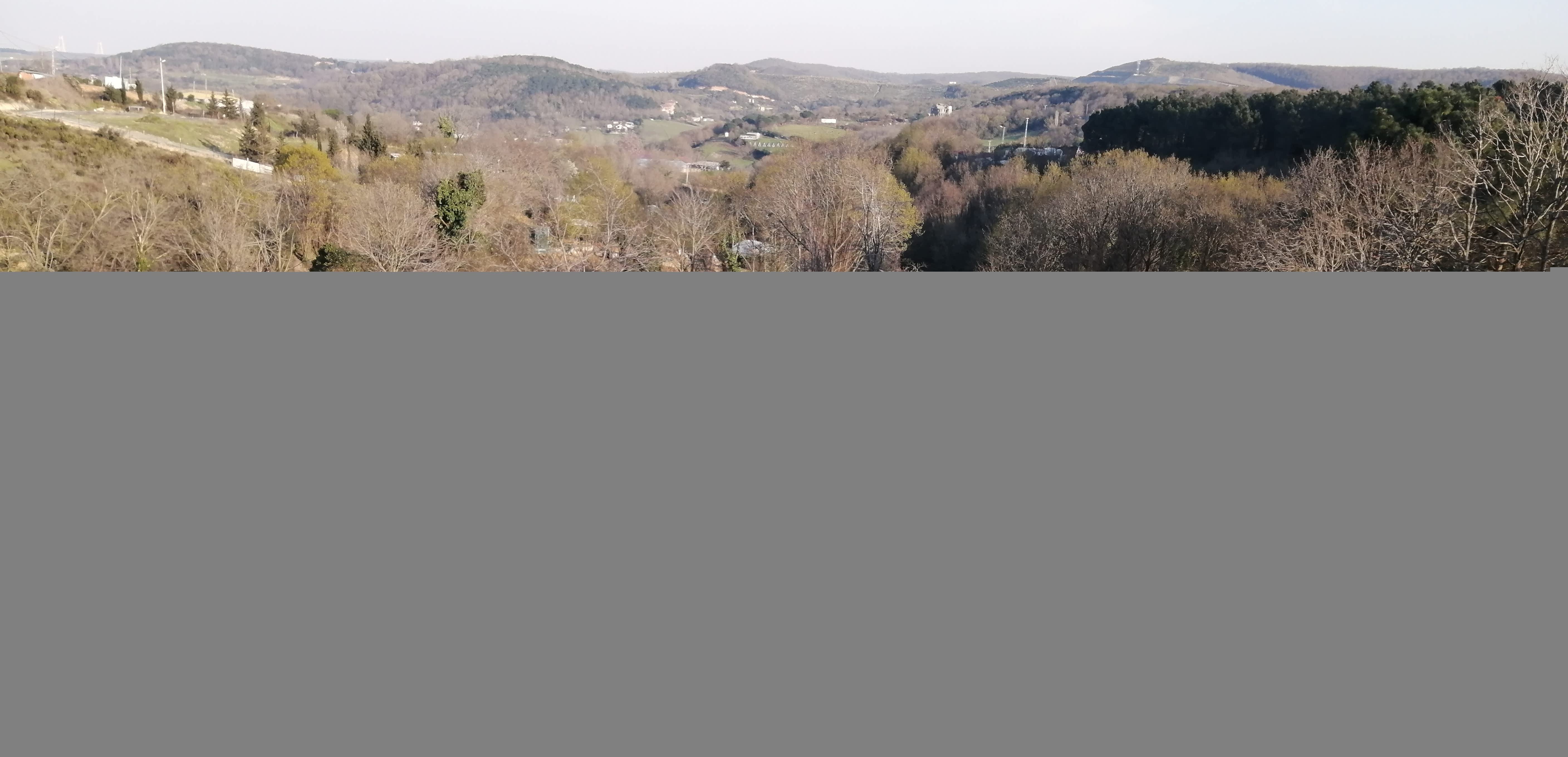 GÜMÜŞDERE YATIRIM VE YAŞAM ALANINA UYGUN MÜSTAKİL PARSEL 2556 M2