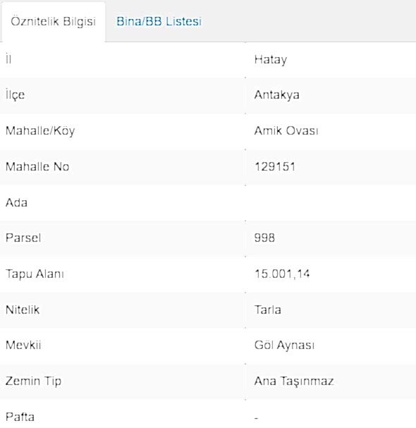 ANTAKYA AMİK OVASI VERİMLİ AFRİN SUYUNA YAKIN TARLA 2.000.000.TL
