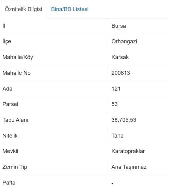 ORHANGAZİ KARSAK KÖYÜ YOLU MEVCUT, MERKEZE YAKIN 38.706 M2